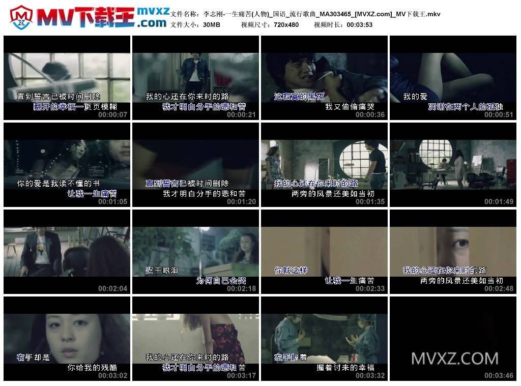 李志刚-一生痛苦(人物)_国语_流行歌曲_MA303465